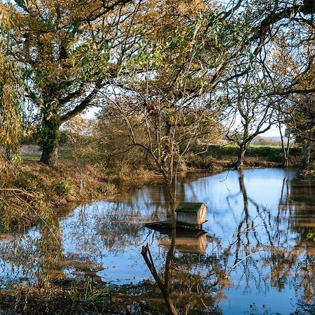 Charming Picturesque Cottage - Nr Tenterden & Rye, Pets Welcomed Rolvenden Ngoại thất bức ảnh