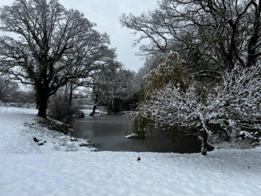 Charming Picturesque Cottage - Nr Tenterden & Rye, Pets Welcomed Rolvenden Ngoại thất bức ảnh