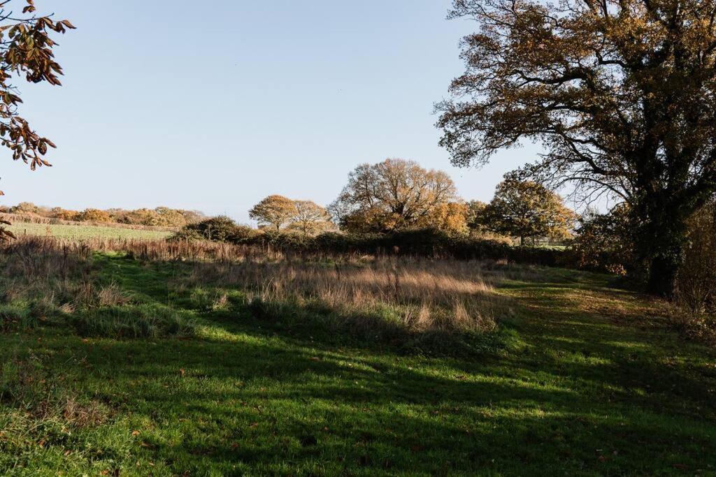Charming Picturesque Cottage - Nr Tenterden & Rye, Pets Welcomed Rolvenden Ngoại thất bức ảnh