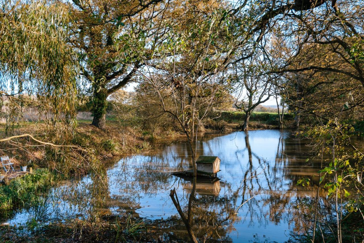 Charming Picturesque Cottage - Nr Tenterden & Rye, Pets Welcomed Rolvenden Ngoại thất bức ảnh